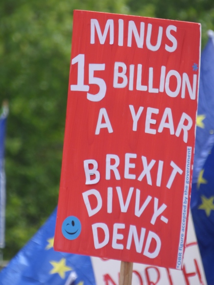 PeoplesVoteMarch (30)
