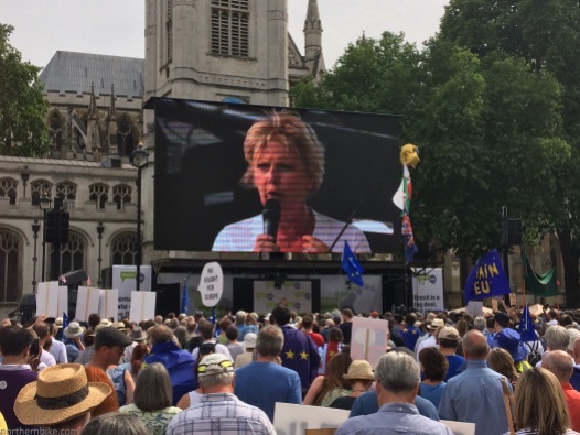 PeoplesVoteMarch (54)